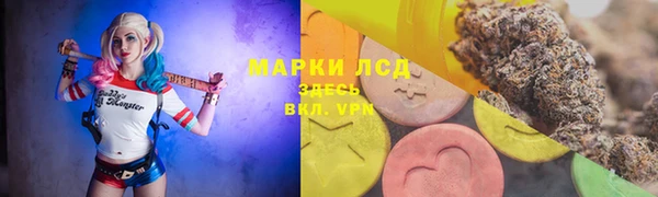 дмт Аркадак