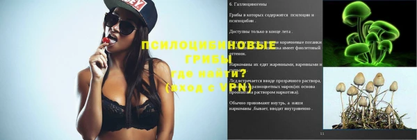 дмт Аркадак