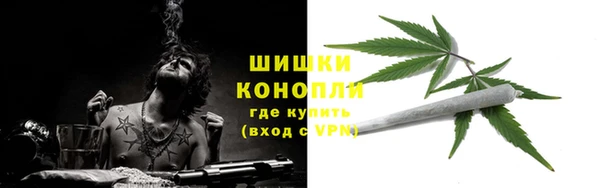 соль ск Арсеньев