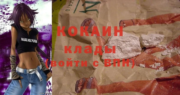 соль ск Алзамай