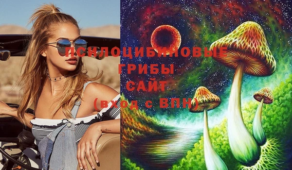 прущие крисы Алексеевка