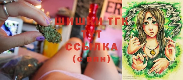дмт Аркадак