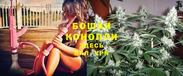 соль ск Арсеньев