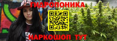 2c-b Новодвинск