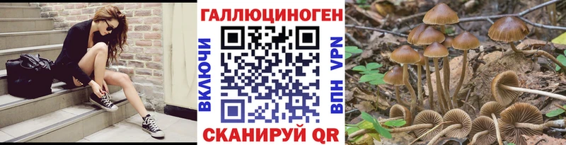 наркошоп Новороссийск Псилоцибиновые грибы мицелий