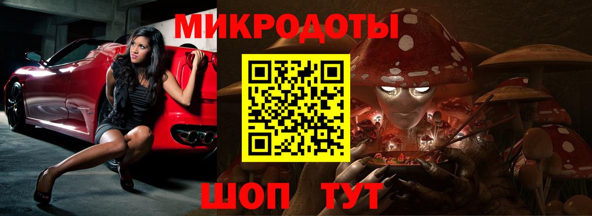 Новороссийск  купить наркотики цена  Вход с VPN  Галлюциногенные грибы мухоморы 