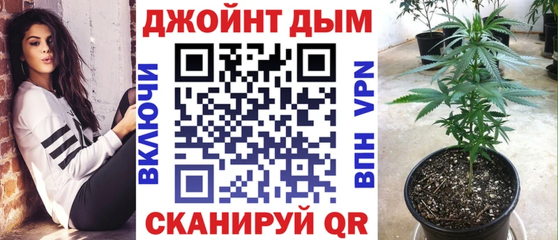 кракен как войти  Новороссийск  Шишки марихуана гибрид 